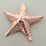 Fine Silver 45mm Atlantic Starfish